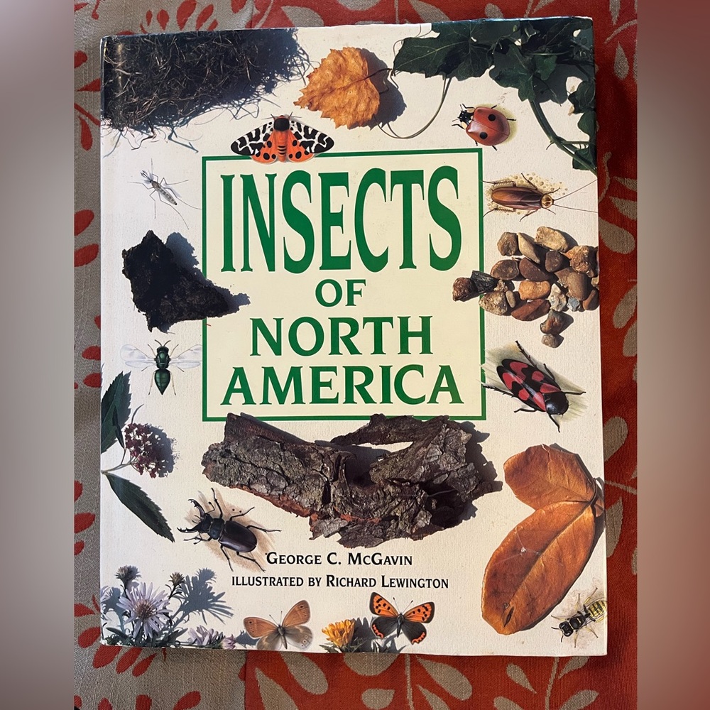 5/$25 Insects of North America